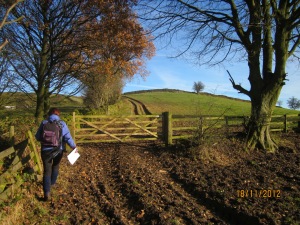 walker on muddy path on sunny day